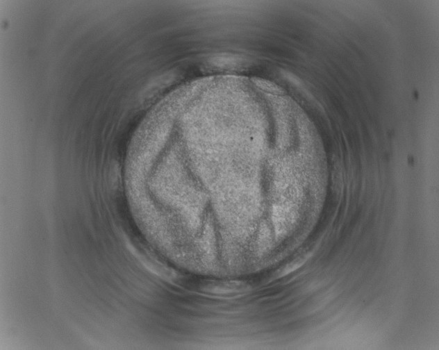 X0000067400459200604281912