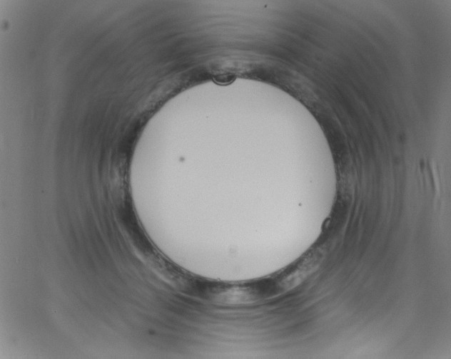 X0000067400460200604281912