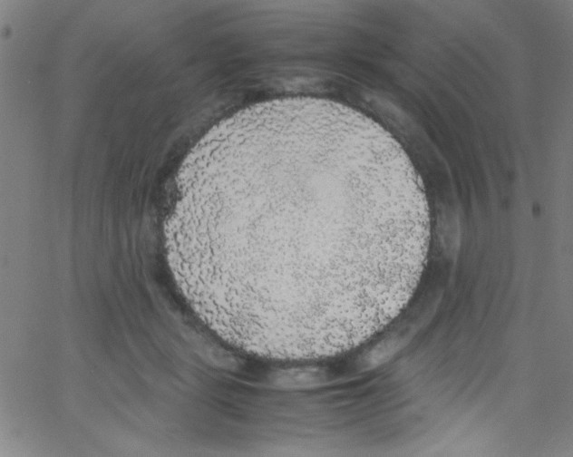 X0000067400461200604281912