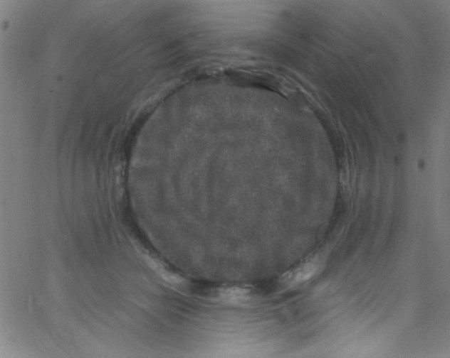 X0000067400462200604281912