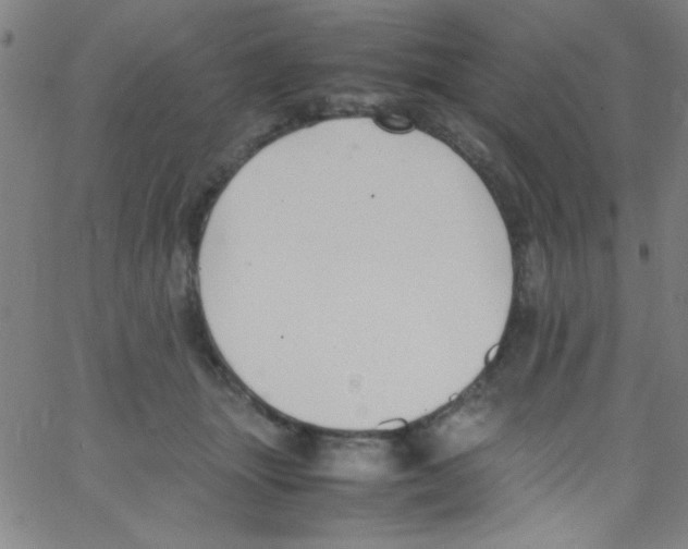 X0000067400463200604281912