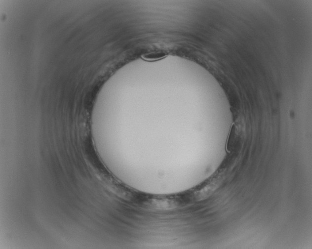 X0000067400464200604281912