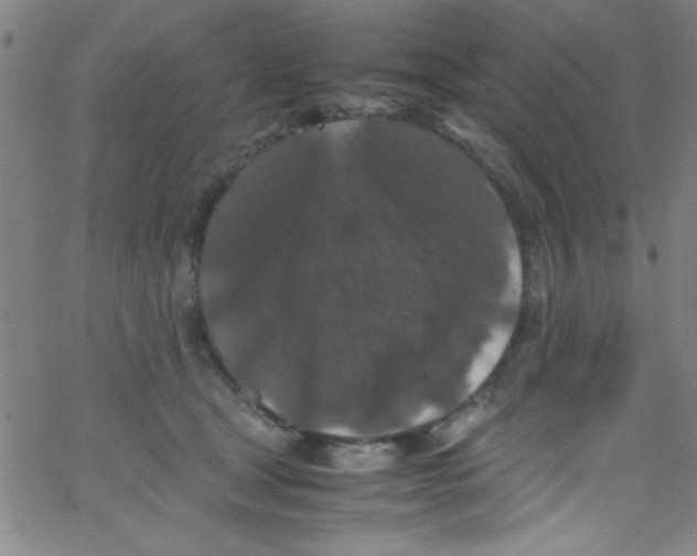 X0000067400465200604281912