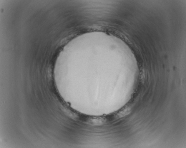 X0000067400466200604281912