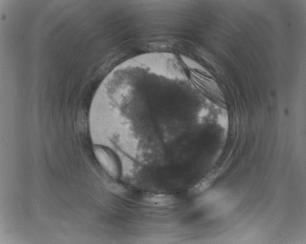 X0000067400467200604281912