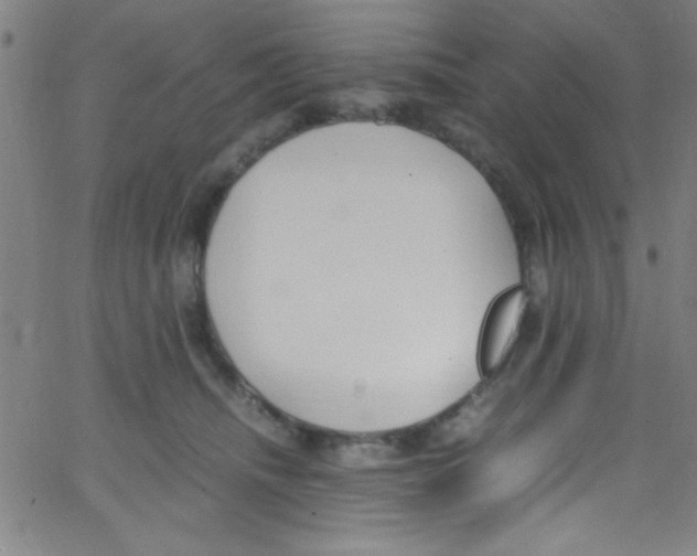 X0000067400468200604281912