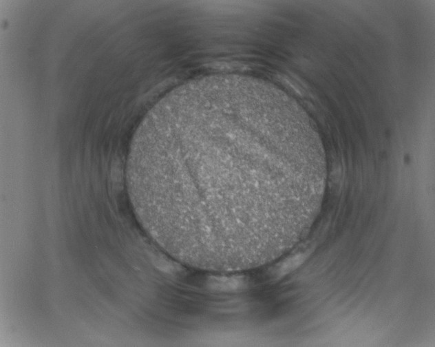 X0000067400469200604281912