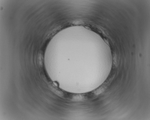 X0000067400470200604281912