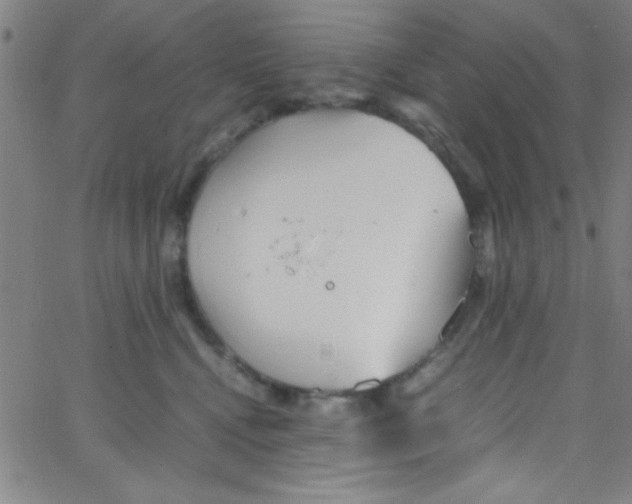 X0000067400472200604281912