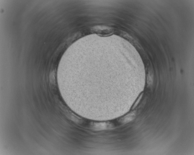 X0000067400473200604281912