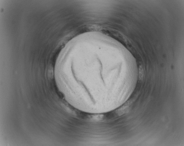 X0000067400474200604281912