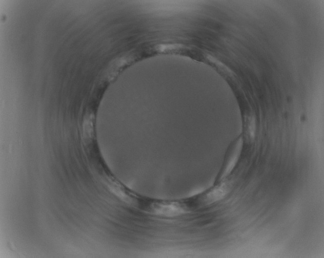 X0000067400475200604281912