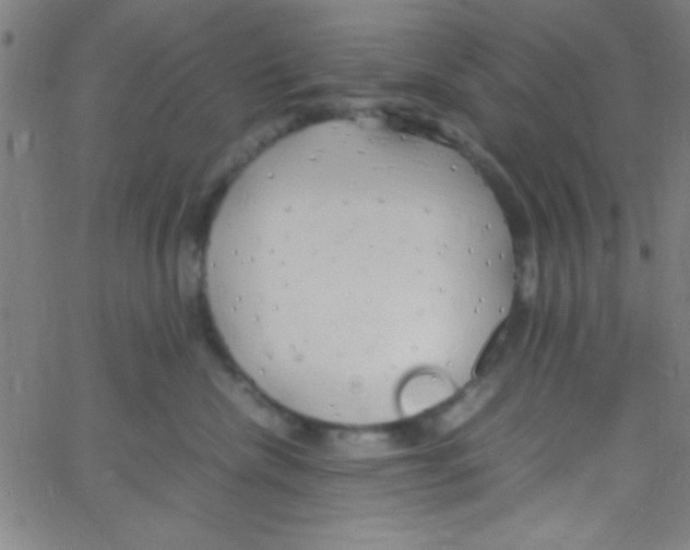 X0000067400476200604281912