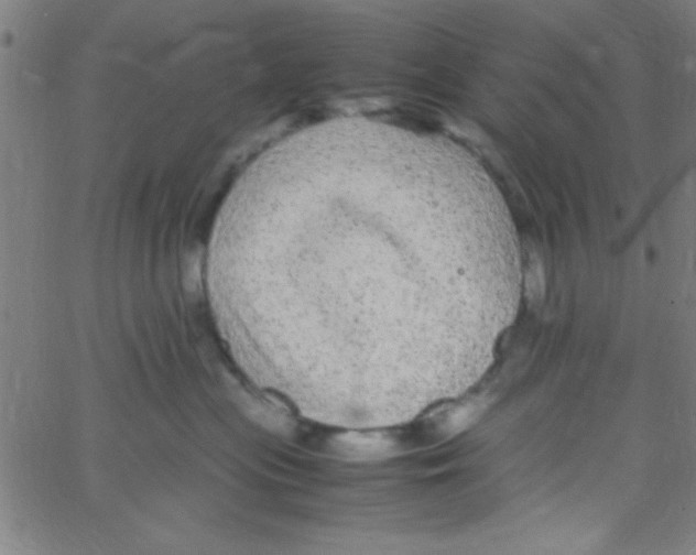 X0000067400477200604281912