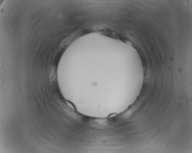 X0000067400478200604281912