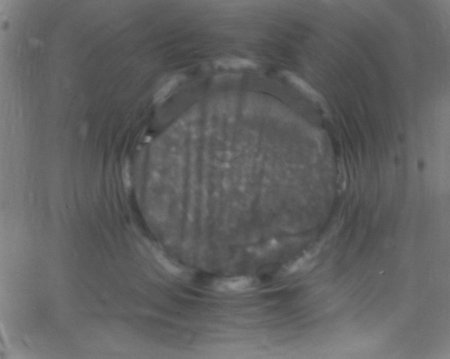 X0000067400479200604281912