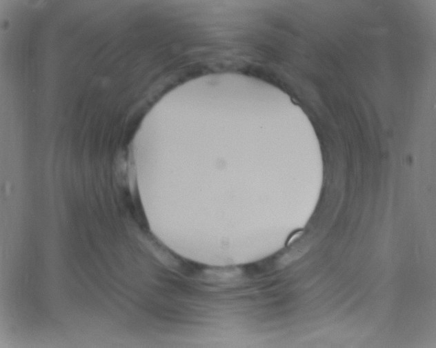 X0000067400480200604281912