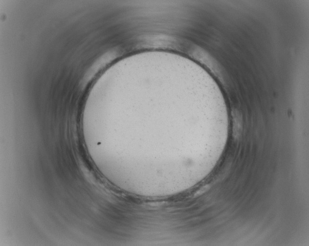 X0000067400482200604281911