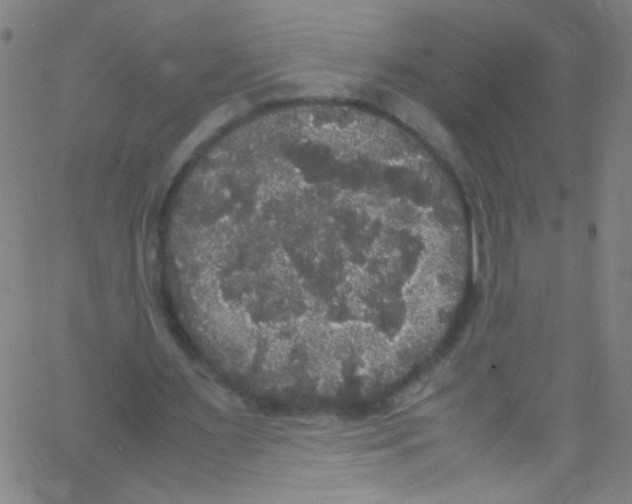 X0000067400483200604281911