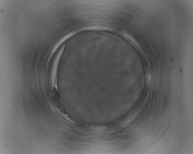 X0000067400484200604281911