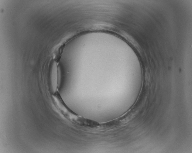 X0000067400485200604281911