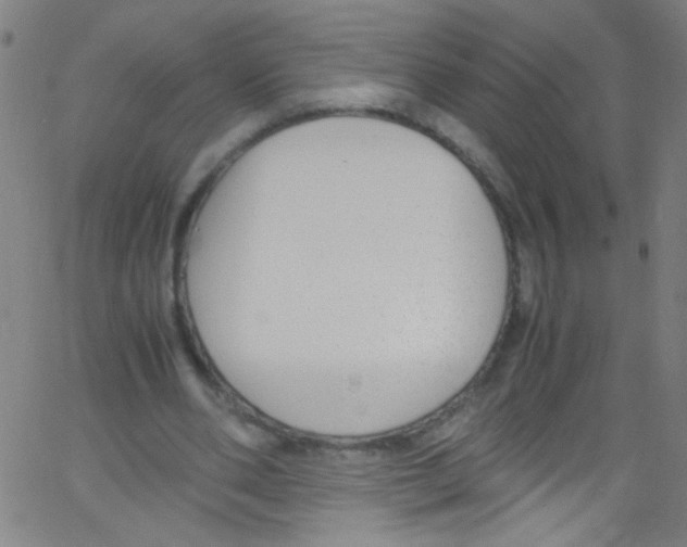 X0000067400486200604281911