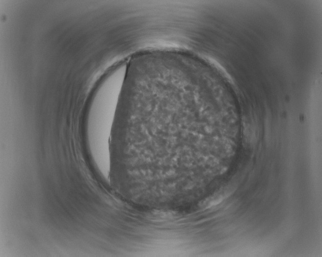 X0000067400487200604281911