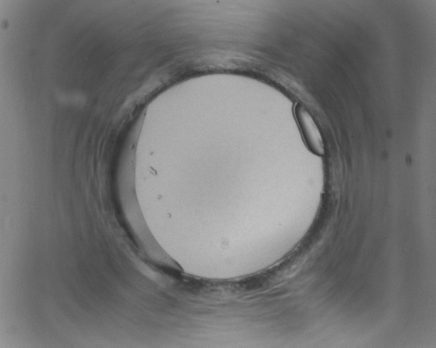 X0000067400489200604281911