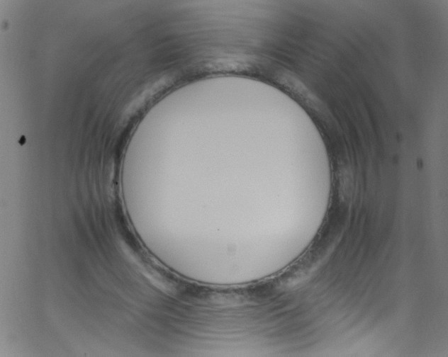 X0000067400490200604281911