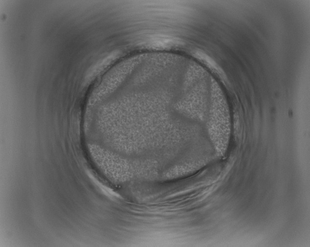 X0000067400493200604281911