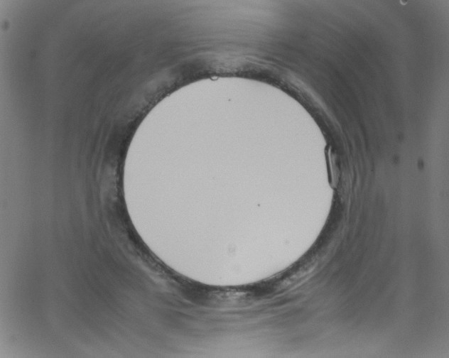 X0000067400497200604281911