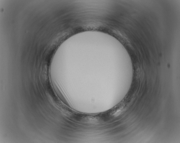 X0000067400498200604281911