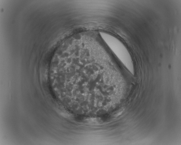 X0000067400499200604281911