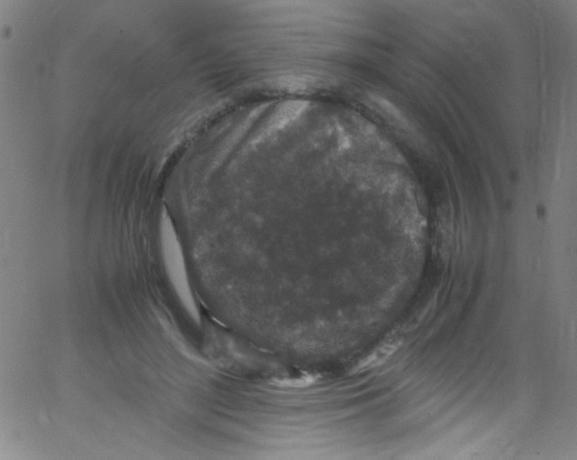 X0000067400500200604281911