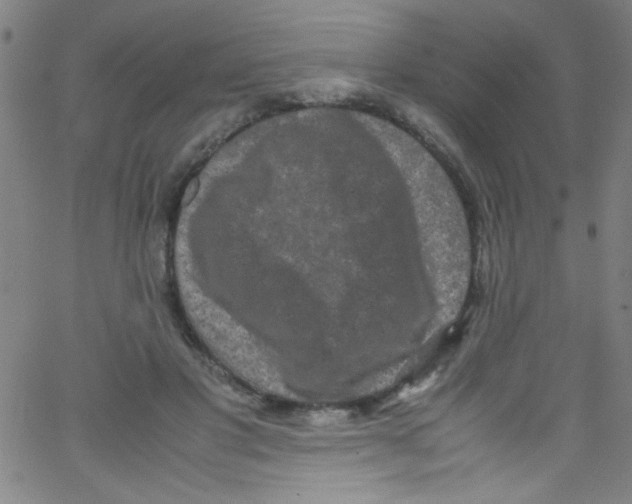 X0000067400501200604281911