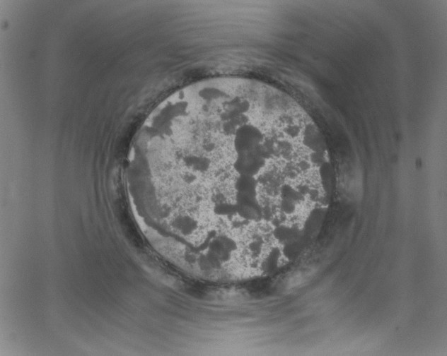 X0000067400503200604281911