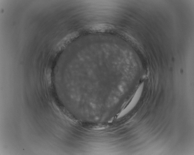 X0000067400504200604281911