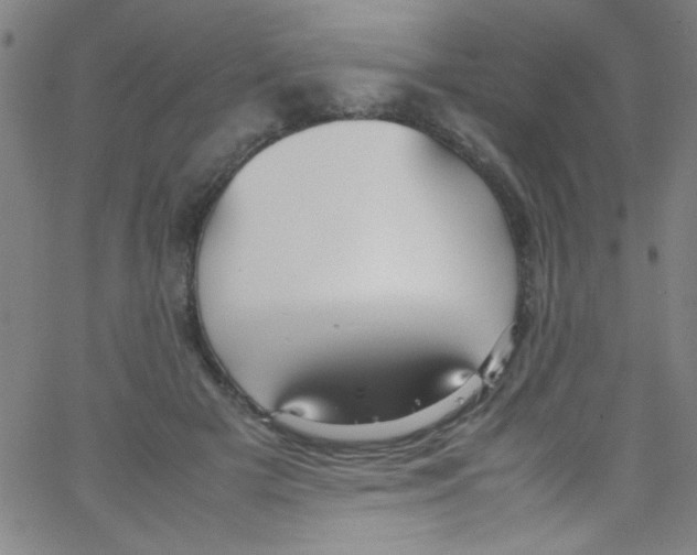 X0000067400505200604281911