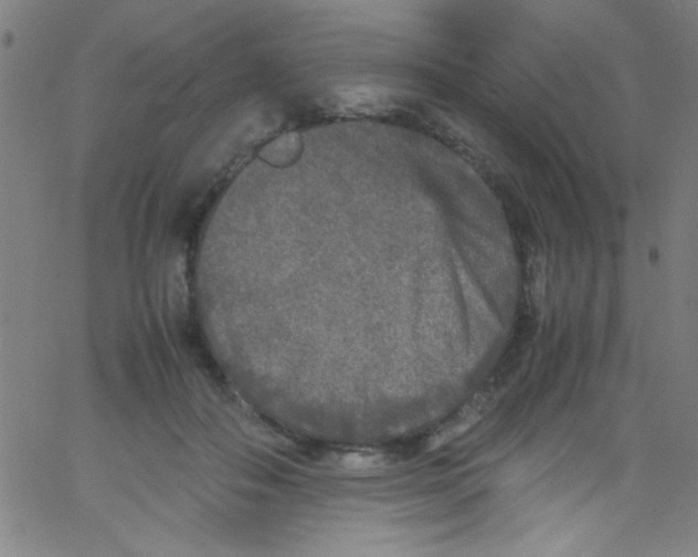 X0000067400506200604281911