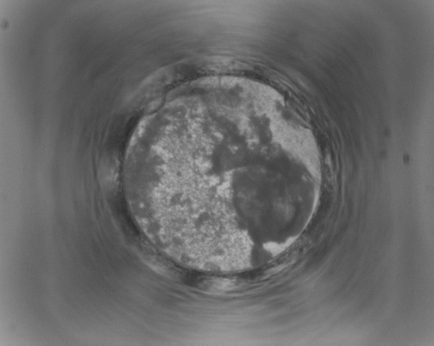 X0000067400507200604281911