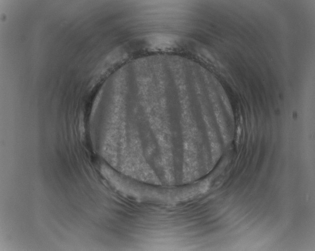 X0000067400508200604281911