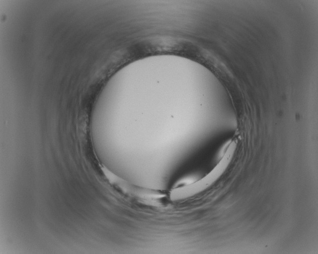 X0000067400509200604281911