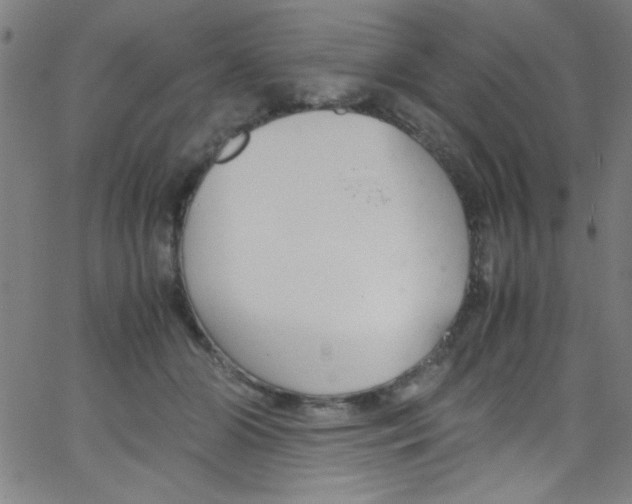 X0000067400510200604281911