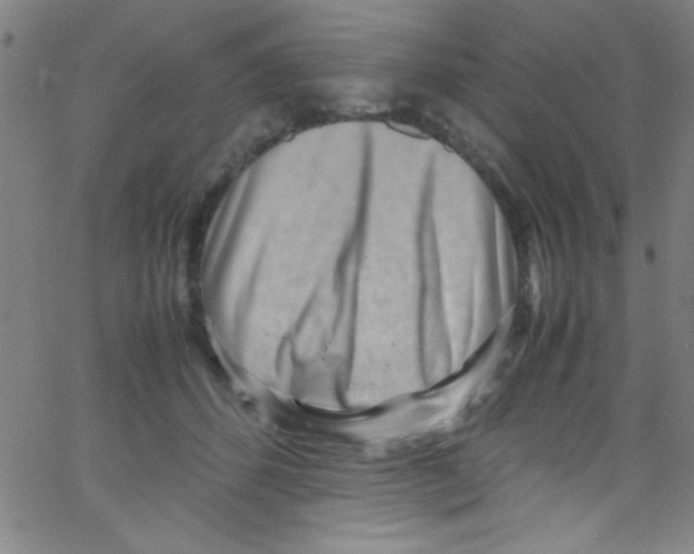 X0000067400512200604281911