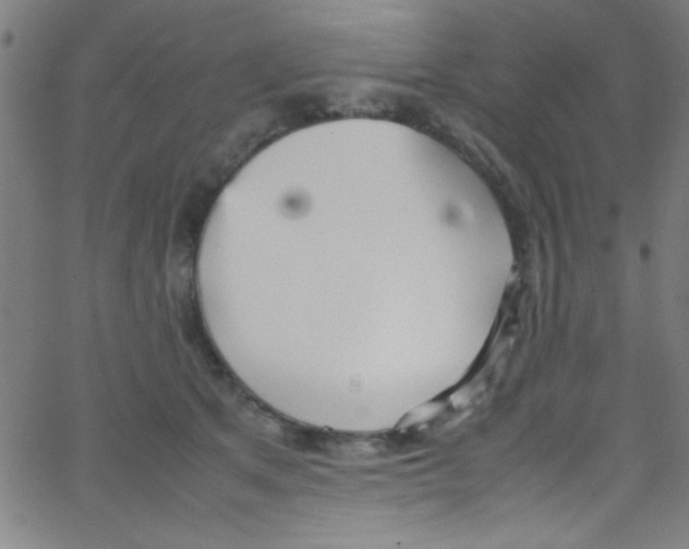 X0000067400513200604281911