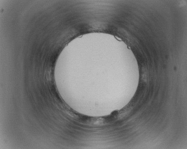 X0000067400514200604281911