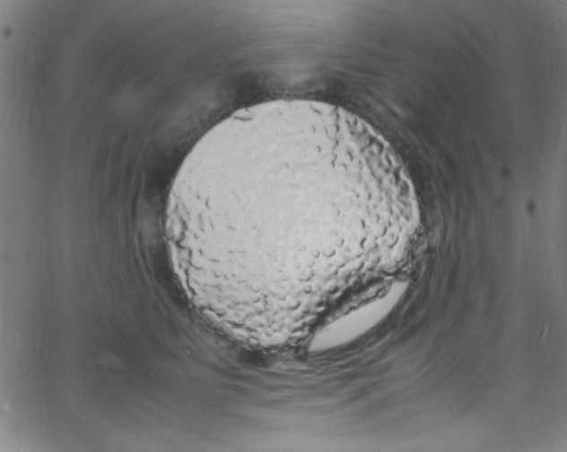 X0000067400515200604281911