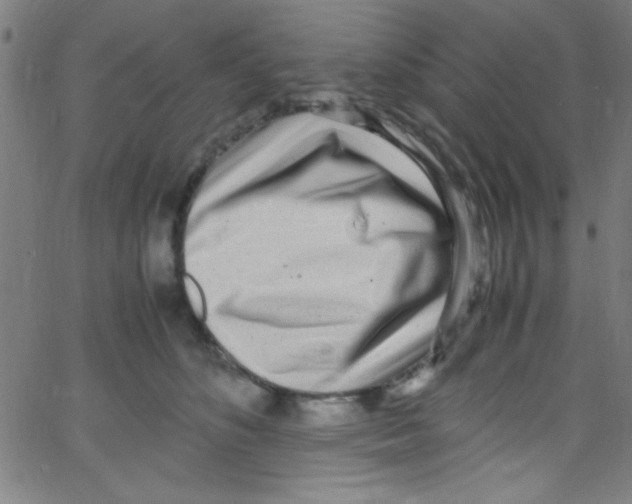 X0000067400516200604281911