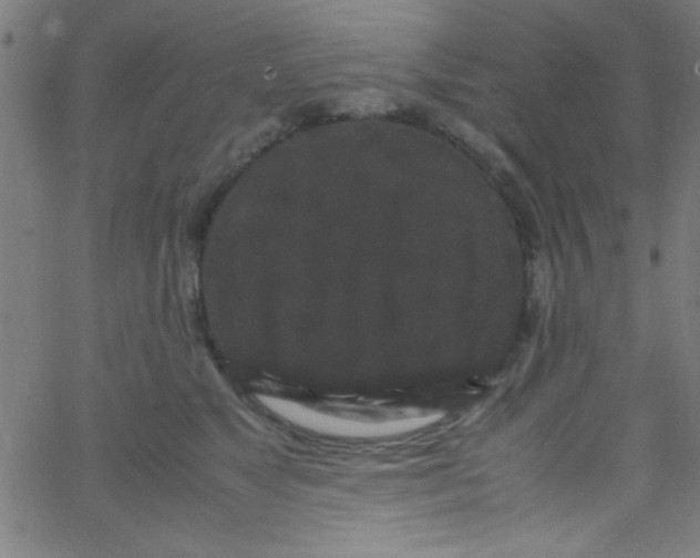 X0000067400517200604281911