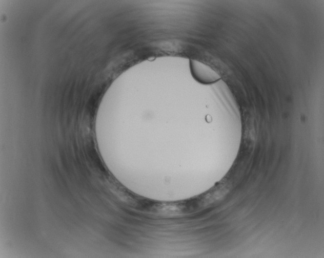 X0000067400518200604281911